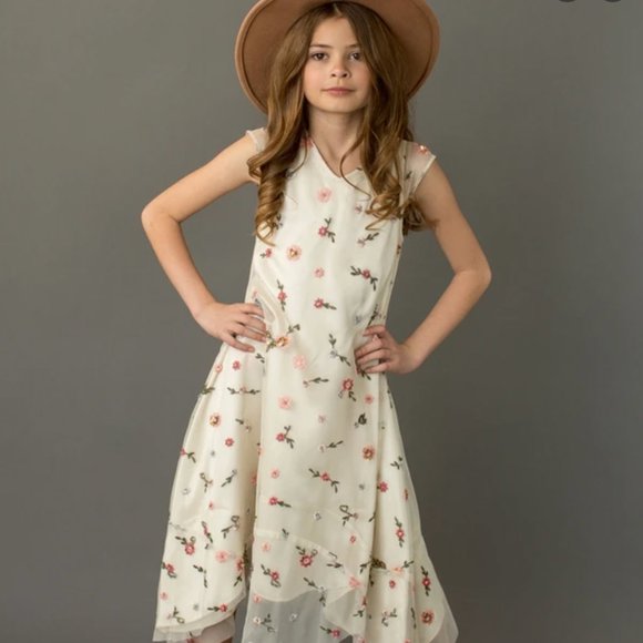 NWT Joyfolie Willow Dress in size 6 - Picture 1 of 7